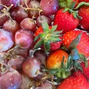 The Fruit Vineyard