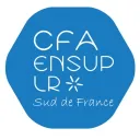 CFA EnsupLR - Discord des apprentis