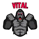 Comp Vital