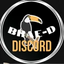 The Braed Birds