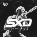 Salixerz |  Designs