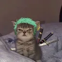 ✦Cat'Blox Accounts 67✦