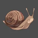 The Snail Zone