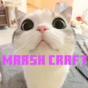 Marsh-Craft