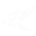 Falcon International Airways