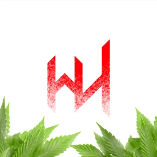 🚀・WASTED HELL — monitoring Discord server, statistics and rating