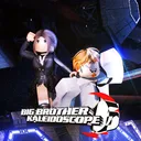 Big Brother Kaleidoscope