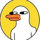 anything ducks server
