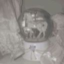 ⋆。 star . lx ...