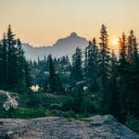 – The Remnants –