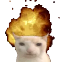 cl0x's cats #REMAKE