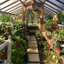 Liz's Garden Discord server icon