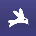 Bunny icon