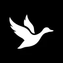 Ducky Capital AI