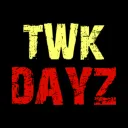 Twe4ks DayZ