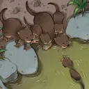 Nutria Landia
