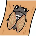 The Cicada's Nest 18+