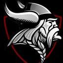 Viking Cargo Logistik