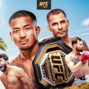 UFC 331 icon