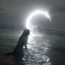 daunt Discord server icon