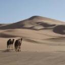 The Barren Lands of Finncord Discord Server Icon