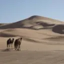 The Barren Lands of Finncord
