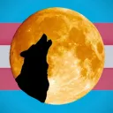 Alexa’s Den 🐺🌕