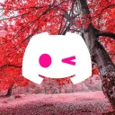 Luxury Forest (NOT active 😡😡)
