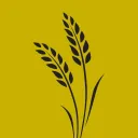 Wheat's Keys