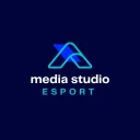 🪩┇ᴍᴇᴅɪᴀ ꜱᴛᴜᴅɪᴏ esport's icon