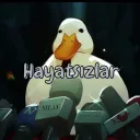 Hayatsızlar