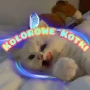 🐱KoloroweKotki🐱