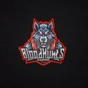 BloodHυɴ丅ѕ Gaming icon