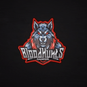 BloodHυɴ丅ѕ Gaming