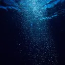 In The Depths
