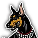 AVIA | DUGS ACADEMY