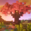 Allure SMP