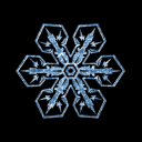 TheFreezer | Australia ❄ Discord server icon