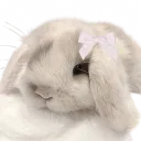 BeCharmed