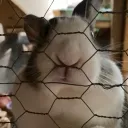 Server icon for Douyin Central