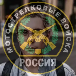 Мотострелковые войска В/Ч 45816 — мониторинг Discord сервера, статистика и рейтинг