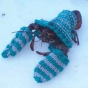 The Frozen Wastelands