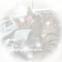 .  ⁺  𝒔𝒆renity  ୭ mntl health      𓈒      Decor   ◟ ͜ ◞    🍥          Moved !!! Discord server icon