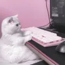 bayitaaa