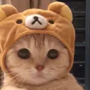BSF Cats Cafe | Envie ! Socials • Emojis • Roblox