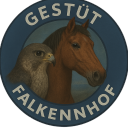 𝙵𝚊𝚕𝚔𝚎𝚗𝚑𝚘𝚏