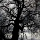 The Crows Den