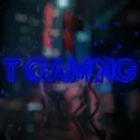 Team Gaming