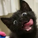 8189