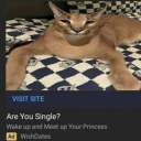 Gura's Community Discord server icon